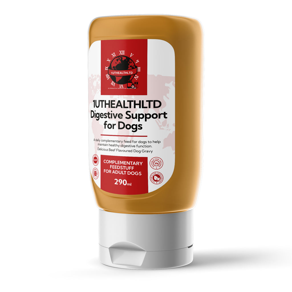 Digestive Support for Dogs | Beef Gravy | 290ml